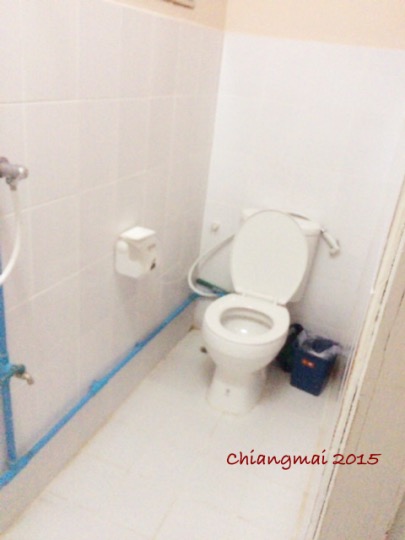 CM2015_gh_wandeehouse_toilet
